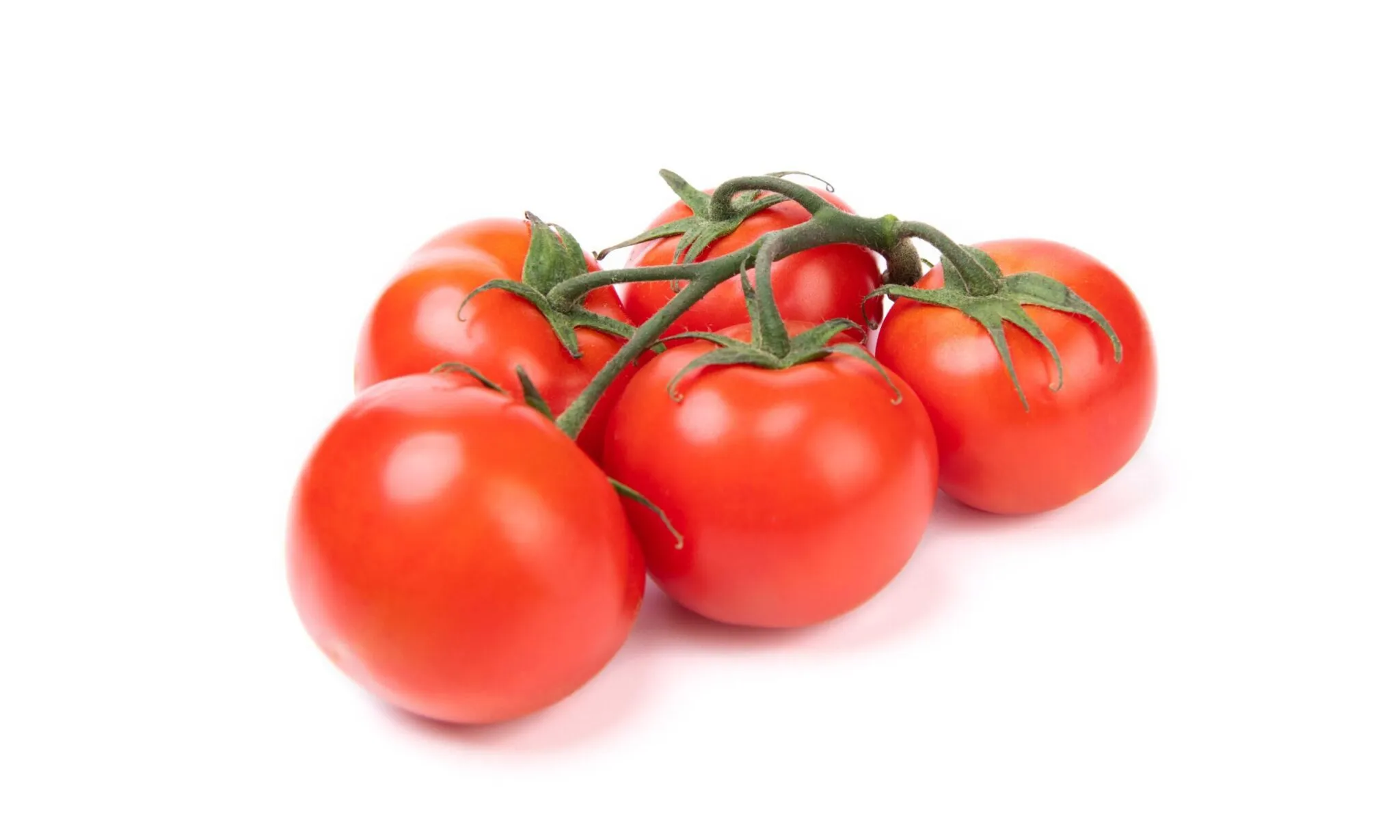 Tomato Oleoresin (Solanum lycopersicum)