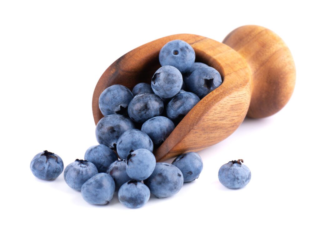 Bilberry Extract Vaccinium Myrtillus Supplement