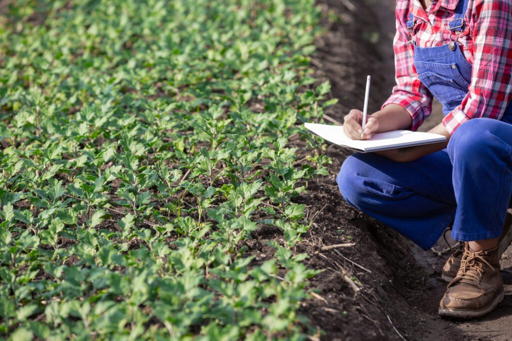 agriculture is researching flower varieties modern agricultural concepts