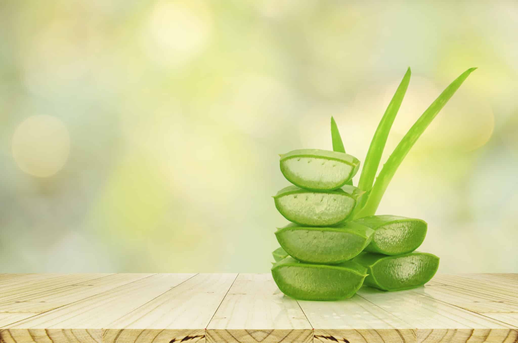 Aloe Vera: A Short Review