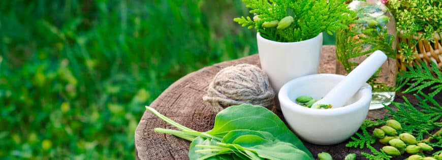6 Incredible Benefits of Herbal Extracts