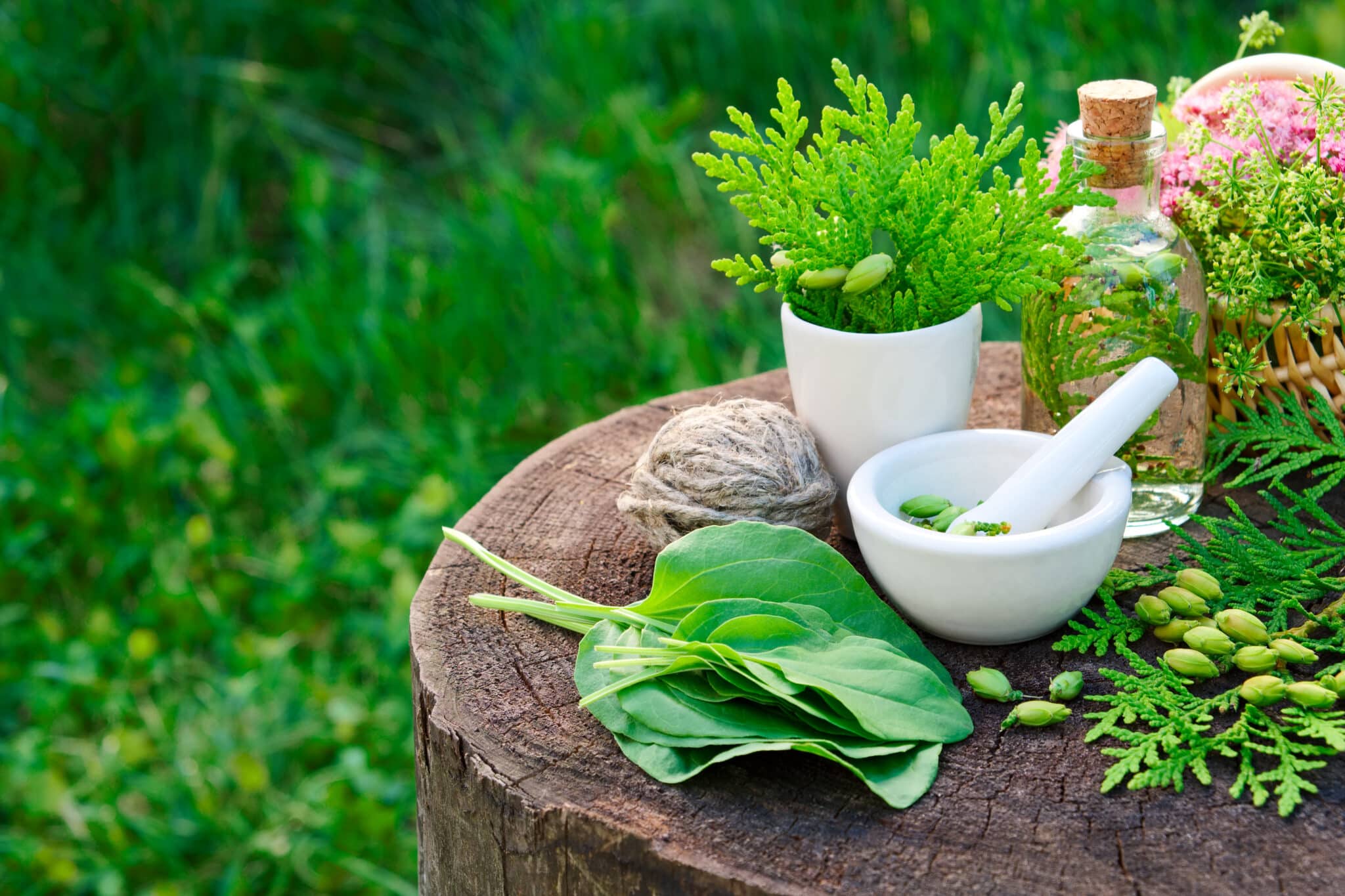 6 Incredible Benefits of Herbal Extracts