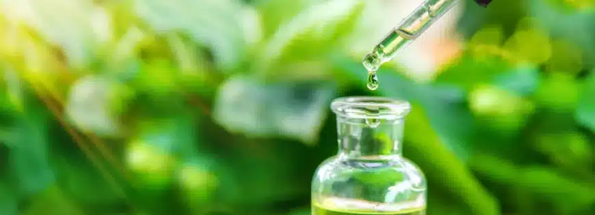 Anti Inflammatory and Antioxidant Properties of Plant Extract jpg