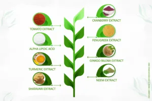 Antioxidant Properties of Herbal extracts