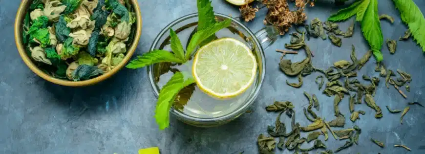 tea cup with lemon mint dried herbs sugar cubes flat lay blue surface 1 jpg
