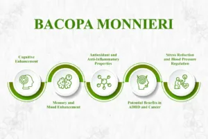 Exploring Bacopa Monnieri: 