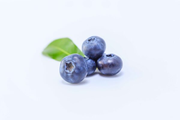 Blueberry Extract Vaccinium uliginosum scaled 1