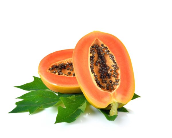 Papaya Fruit Extract Carica papaya scaled 1