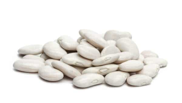 White Kidney Bean Extract Phaseolus vulgaris scaled 1