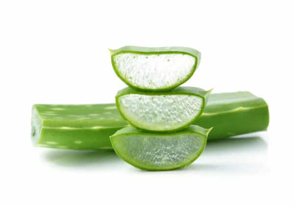 Aloe Vera Extract (Aloe barbadensis Mill.)