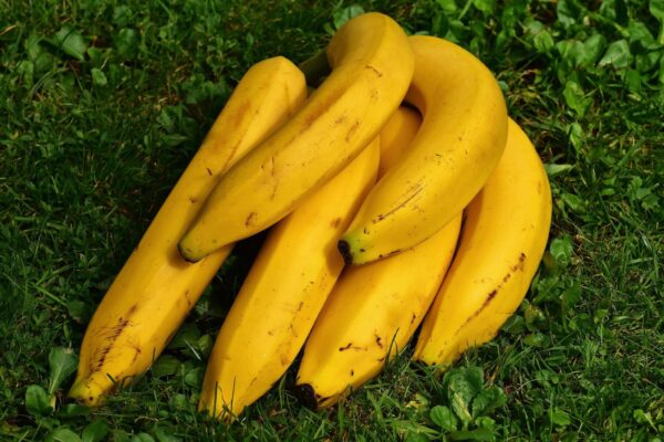 bananas 1642706 scaled 2