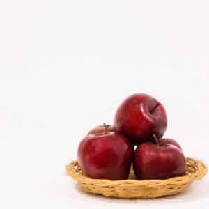 Apple Cider Vinegar Powder (Malus pumila)