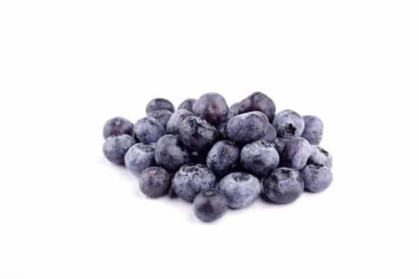 Blueberry Extract (Vaccinium uliginosum)
