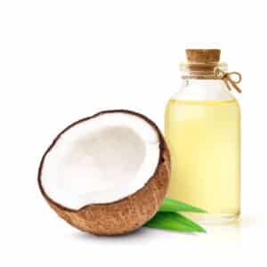 Coconut Oil Fat Powder (Cocos nucifera)