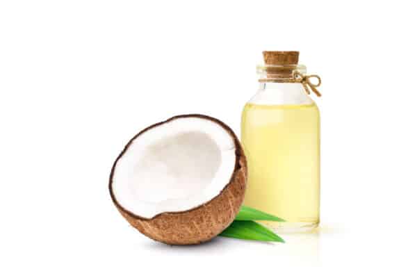 Coconut Oil Fat Powder (Cocos nucifera)