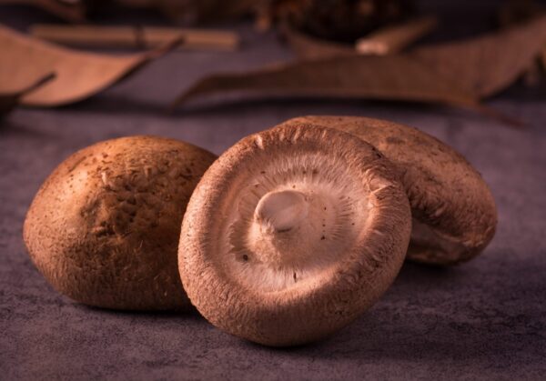 delicious mushrooms scaled 1