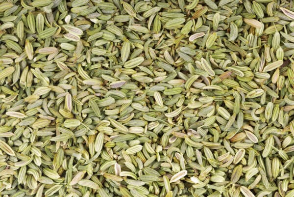 Ajowan Caraway Oleoresin (Trachyspermum ammi)