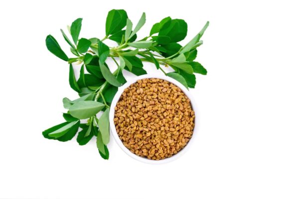 fenugreek seeds bowl with leaves isolated white background from scaled 1