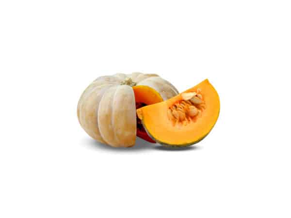 Cucurbita Pepo Extract (Cucurbita pepo)