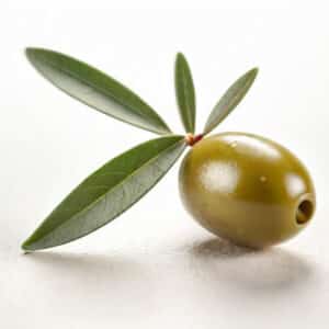 Olive Leaf Extract (Olea europaea L.)