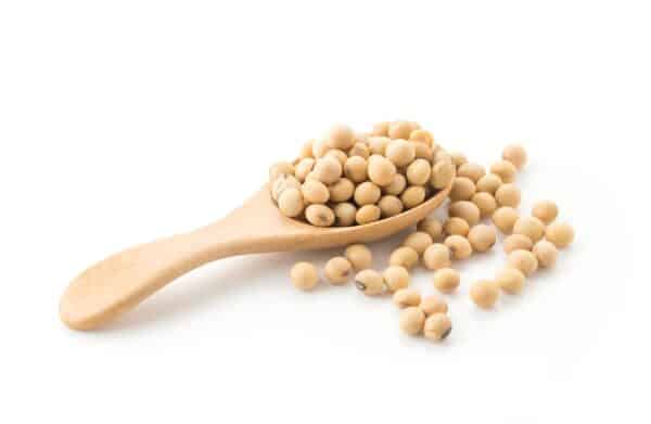 soy beans scaled 1 scaled