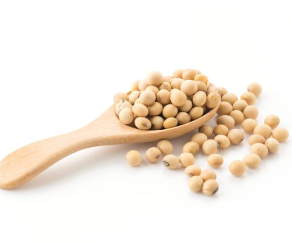 soy-beans-scaled-1.jpg
