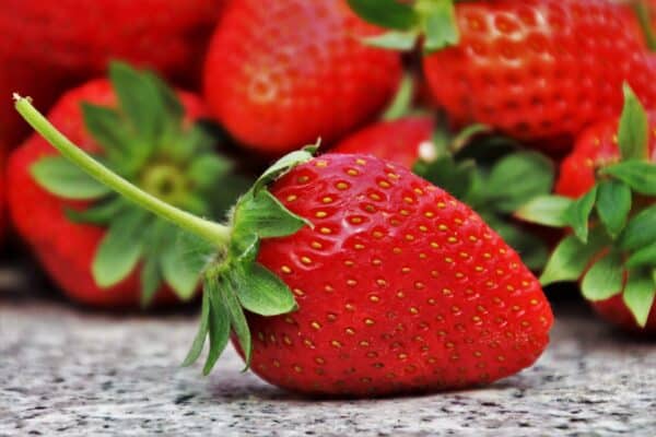 strawberries 3359755 scaled 2