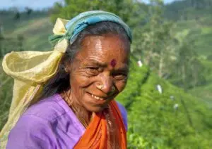 tea picker plantation sri lanka 300x212 1