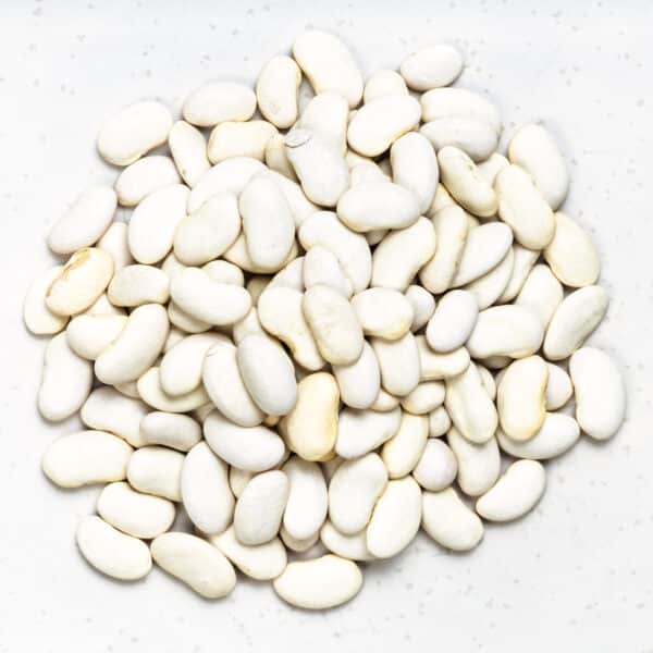 White Kidney Bean Extract