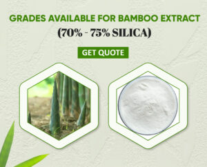 Bamboo Extract