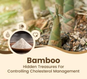 Cholesterol Management