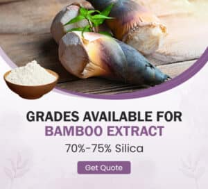 Bamboo’s hidden treasures