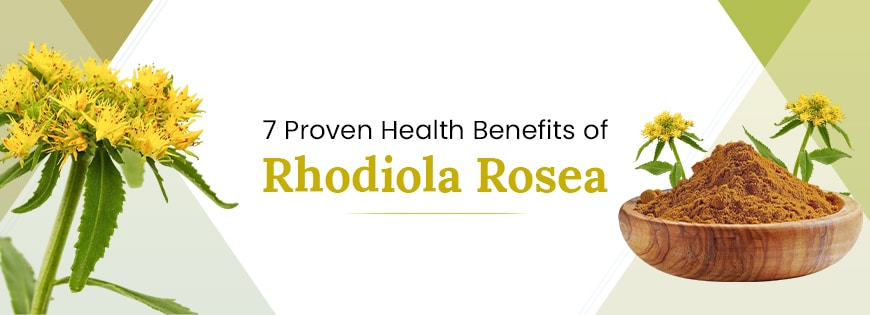 7 Proven Health Benefits of Rhodiola Rosea