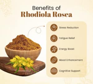 Benefits of Rhodiola Rosea
