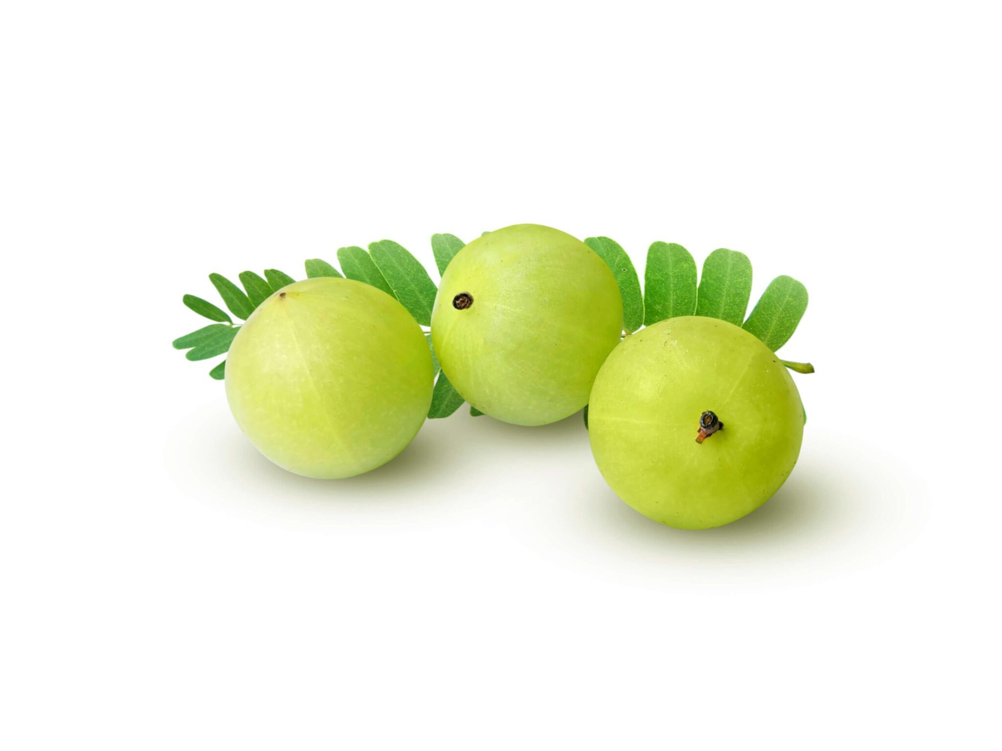 Health Benefits of Amla (Indian Gooseberry)