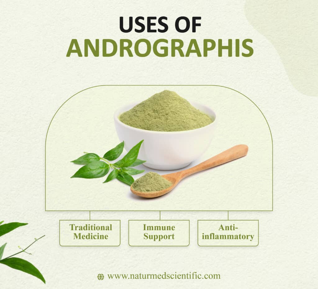 Andrographis: Uses, Benefits, and Dosage - Naturmed Scientific