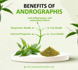 Health Benefits of Andrographis