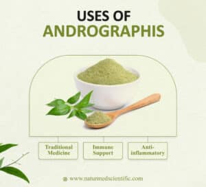 Uses of Andrographis  