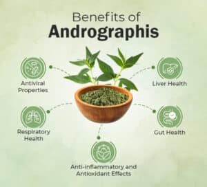 Benefits of Andrographis