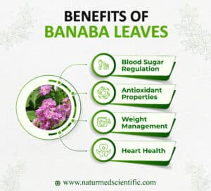 Benefits of Banaba Leaves 