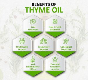 Benefits of Thyme Oil