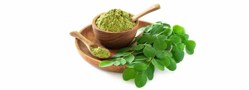 6 Science-Based Health Benefits of Moringa oleifera