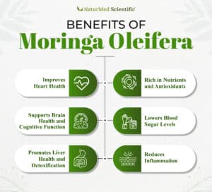 Benefits of Moringa oleifera