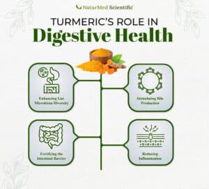 Turmeric's Role in Digestive Health 