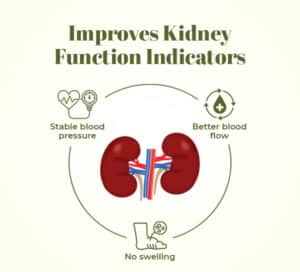 Improves Kidney Function Indicators