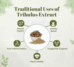 Traditional Uses and Bioactive Composition 