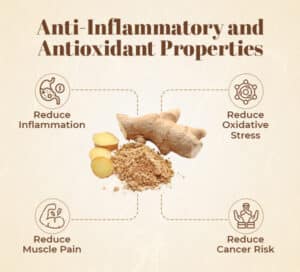 Anti-Inflammatory and Antioxidant Properties