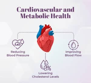 Cardiovascular and Metabolic Health