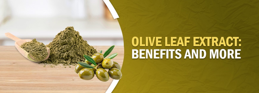 Olive Leaf Extract: Dosage, Benefits, Side Effects, and More 