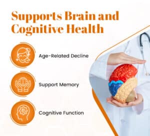 Supports Brain and Cognitive Health